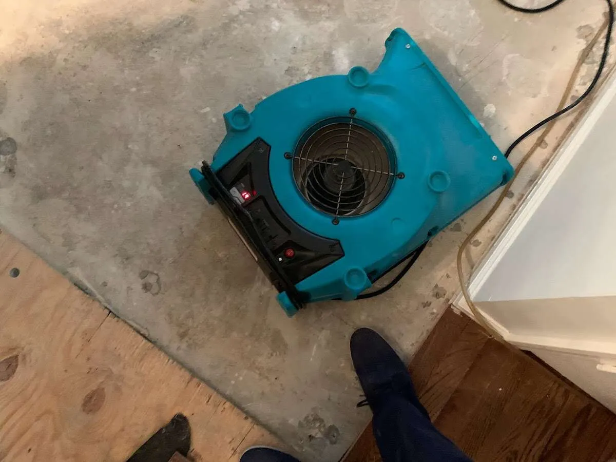 Air mover drying subfloor during Leak Detection & Repair in Mansfield